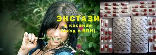 стаф Алзамай